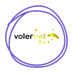 Volerbet Casino